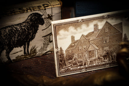 6/12/2025 AUCTION PHOTO GALLERY