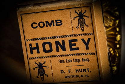 6/12/2025 AUCTION PHOTO GALLERY