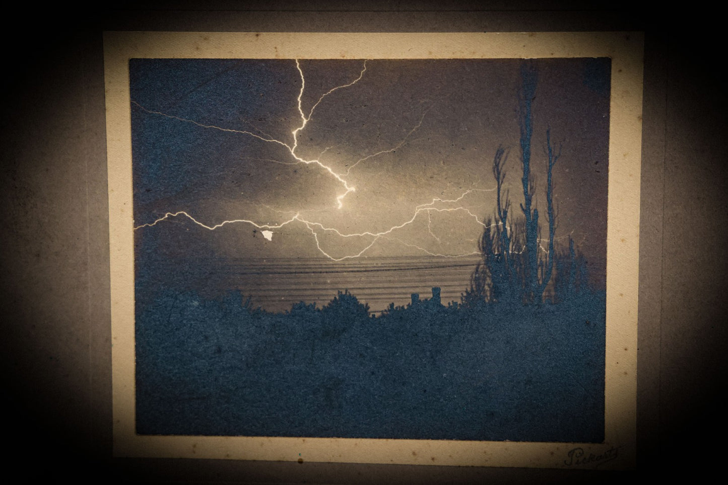 6/12/2025 AUCTION PHOTO GALLERY