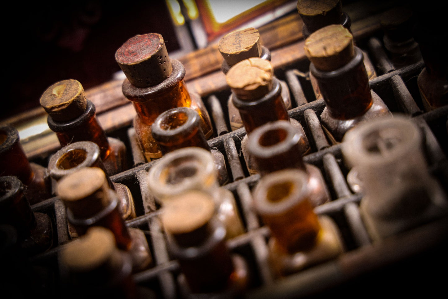 9/4/2025 AUCTION PHOTO GALLERY