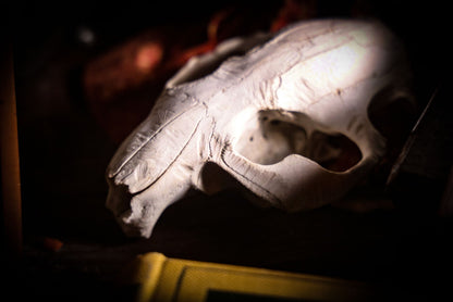 9/4/2025 AUCTION PHOTO GALLERY