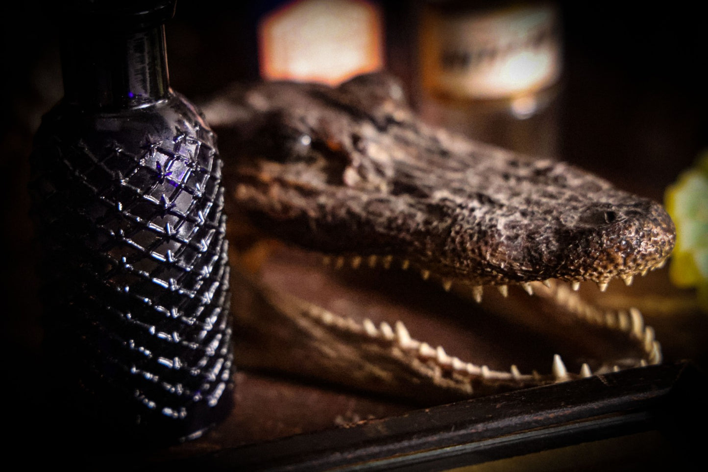 9/4/2025 AUCTION PHOTO GALLERY