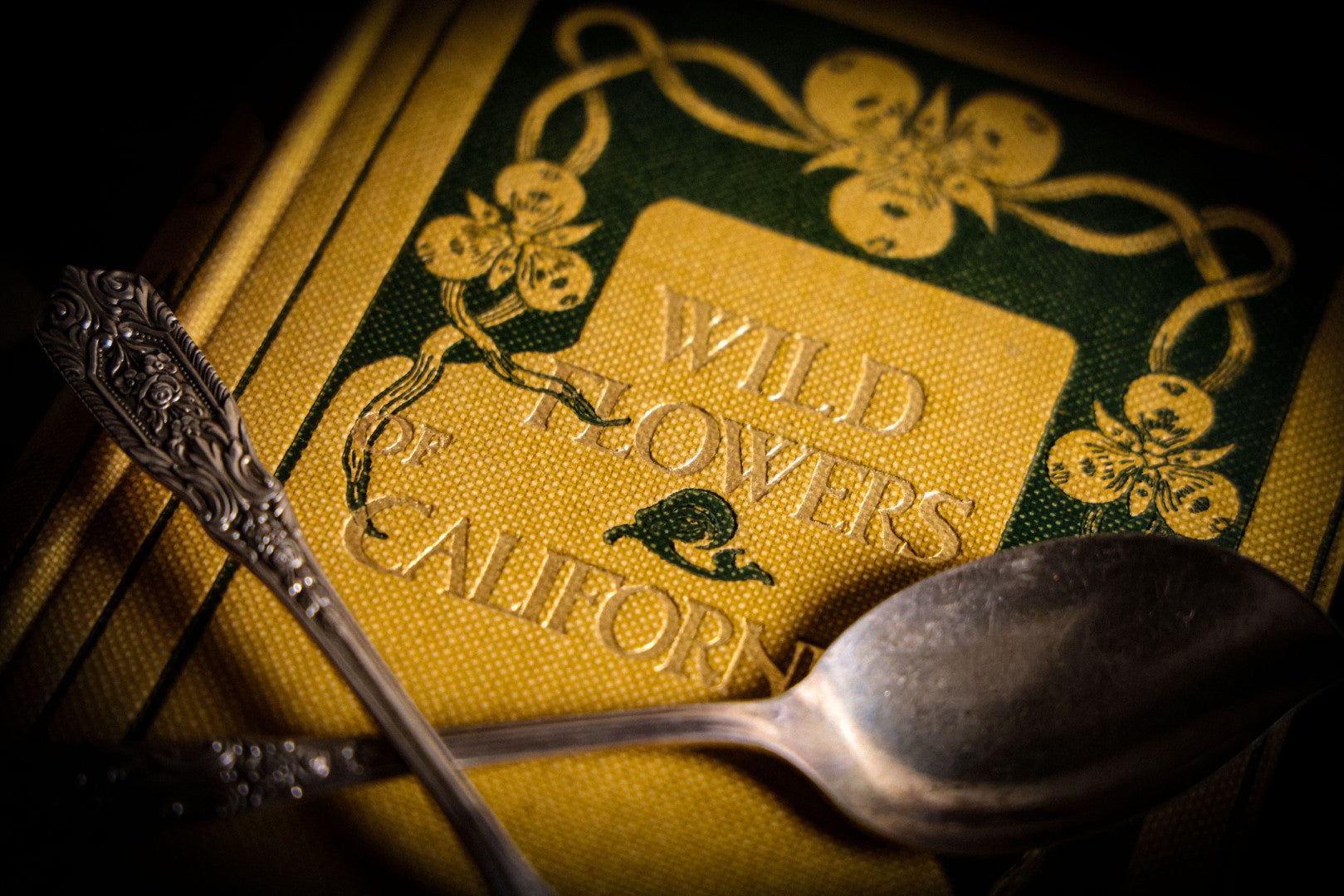 9/4/2025 AUCTION PHOTO GALLERY