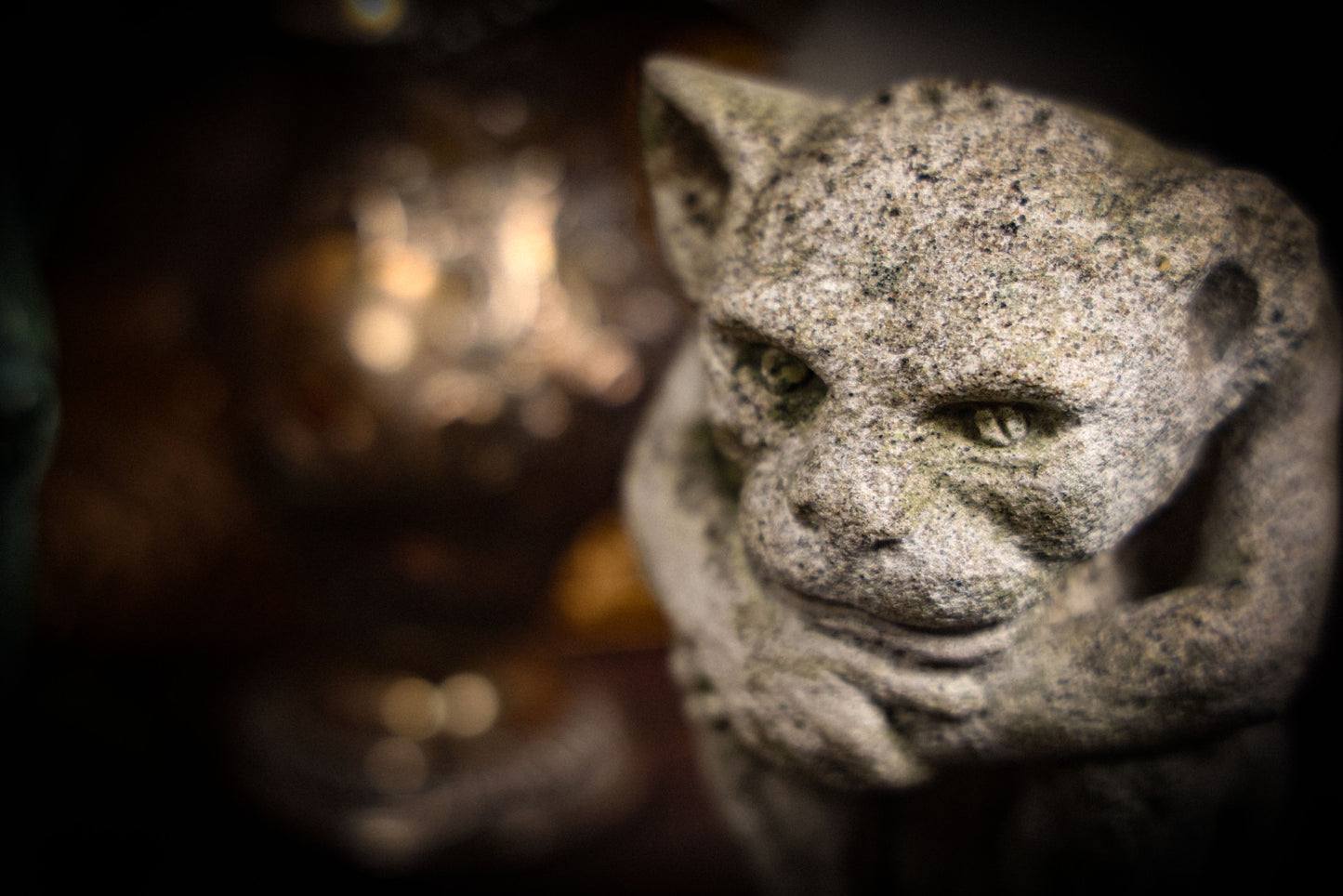 8/7/2025 AUCTION PHOTO GALLERY