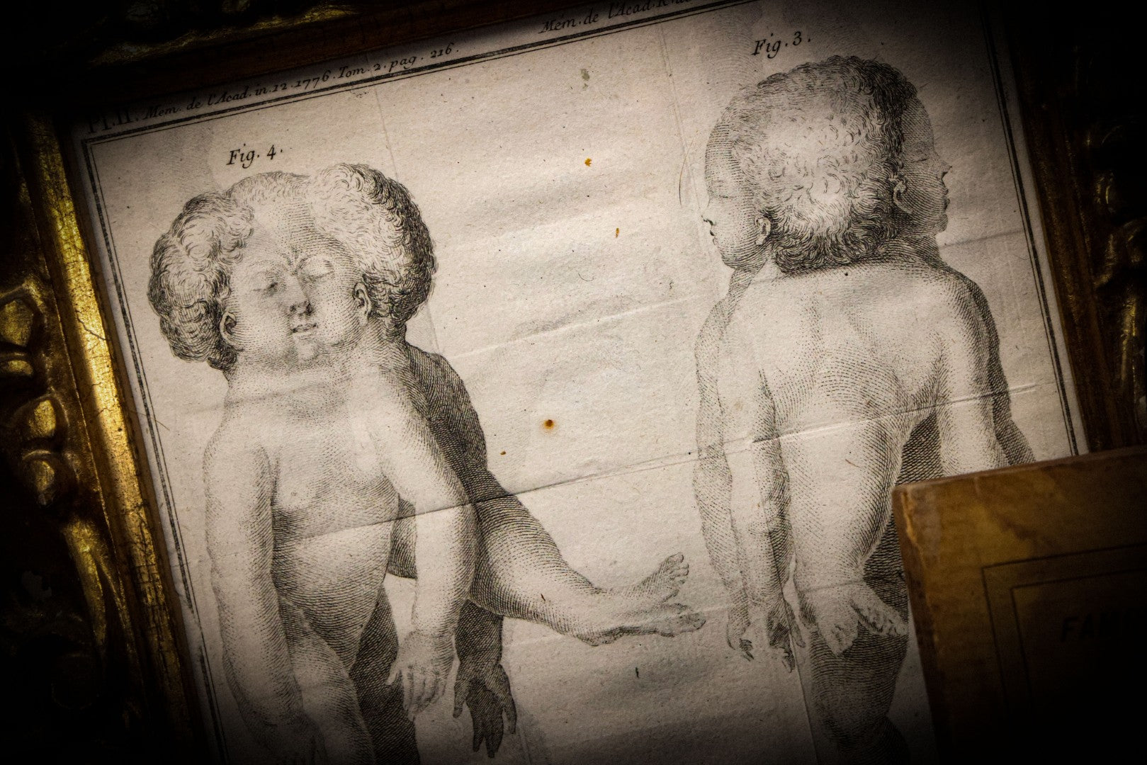 8/21/2025 AUCTION PHOTO GALLERY