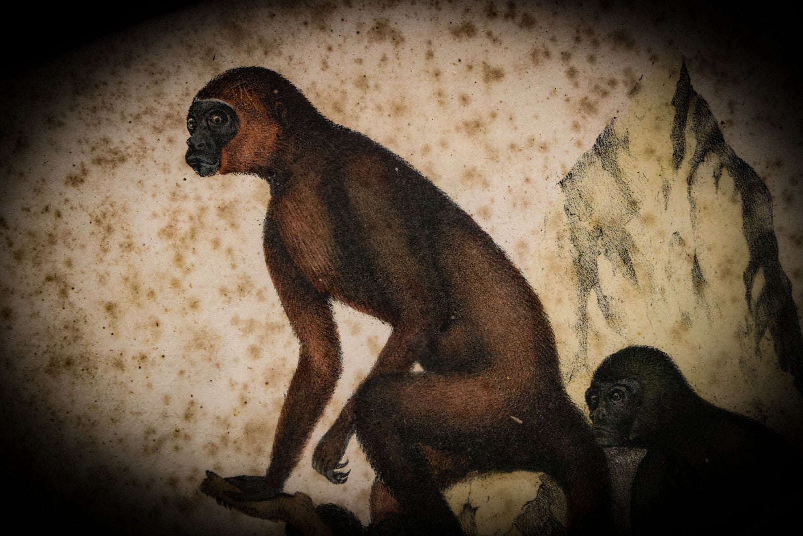 8/21/2025 AUCTION PHOTO GALLERY