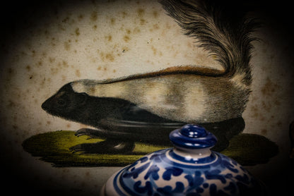 8/21/2025 AUCTION PHOTO GALLERY