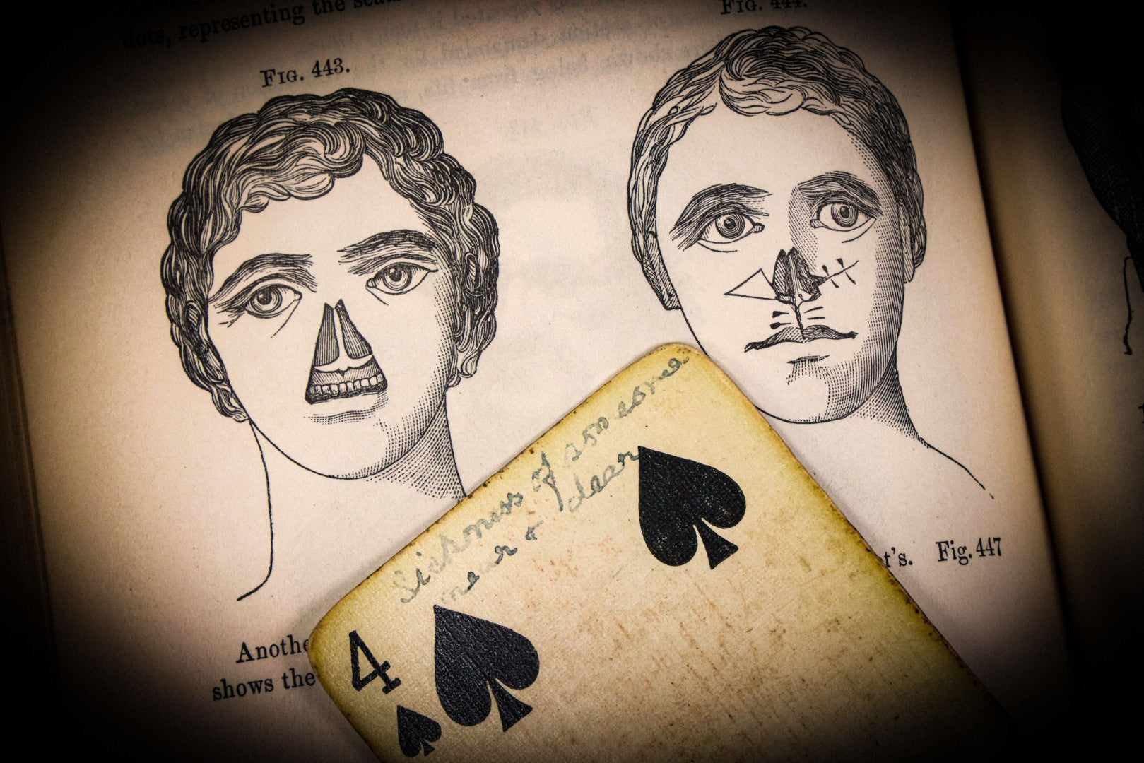 8/21/2025 AUCTION PHOTO GALLERY