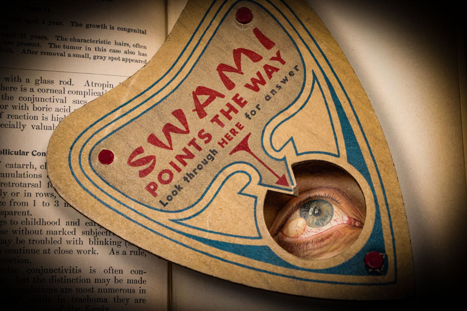 8/21/2025 AUCTION PHOTO GALLERY