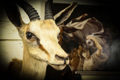 5/1/2025 AUCTION PHOTO GALLERY