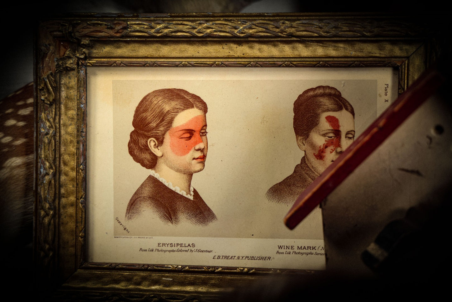 5/1/2025 AUCTION PHOTO GALLERY