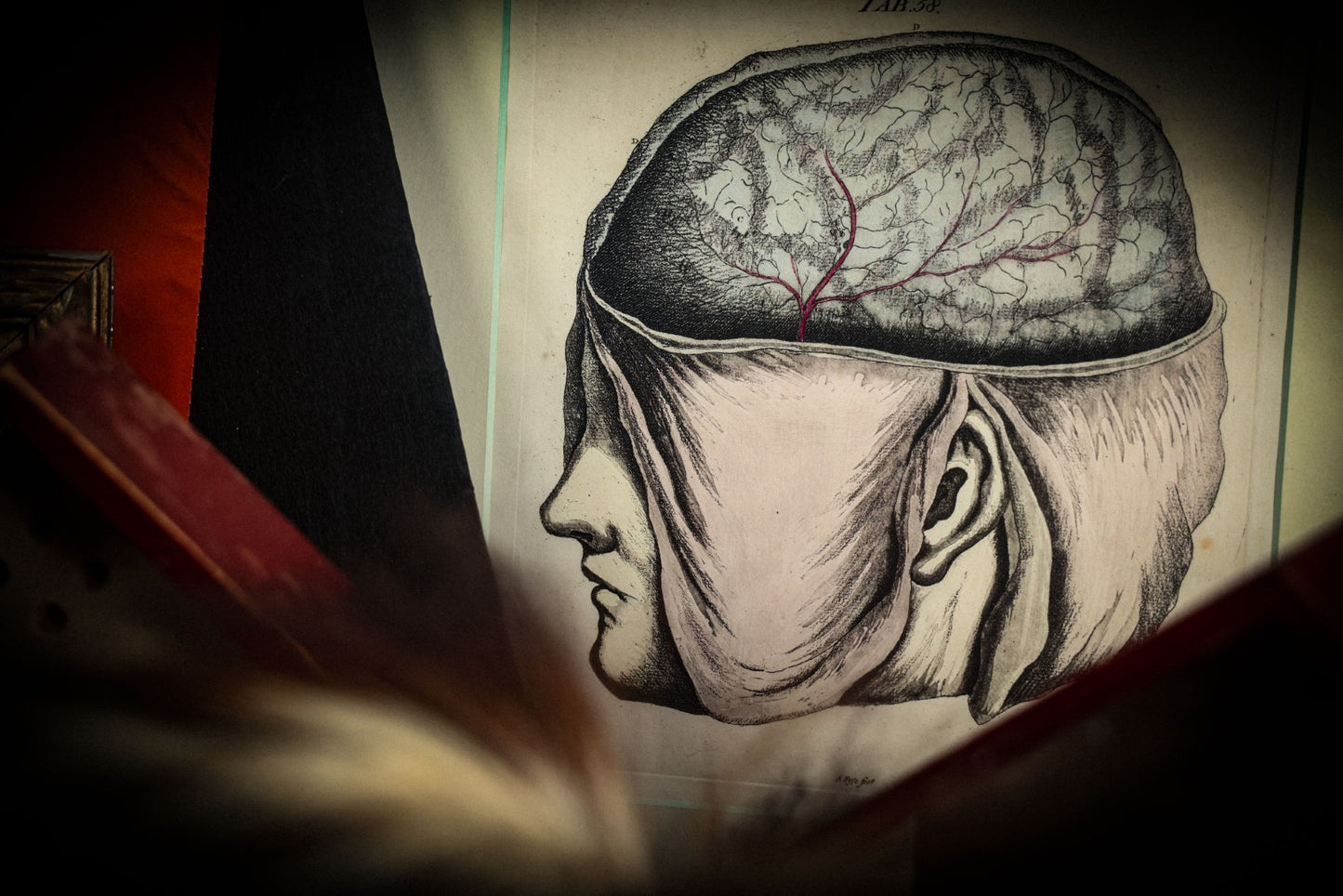 5/1/2025 AUCTION PHOTO GALLERY