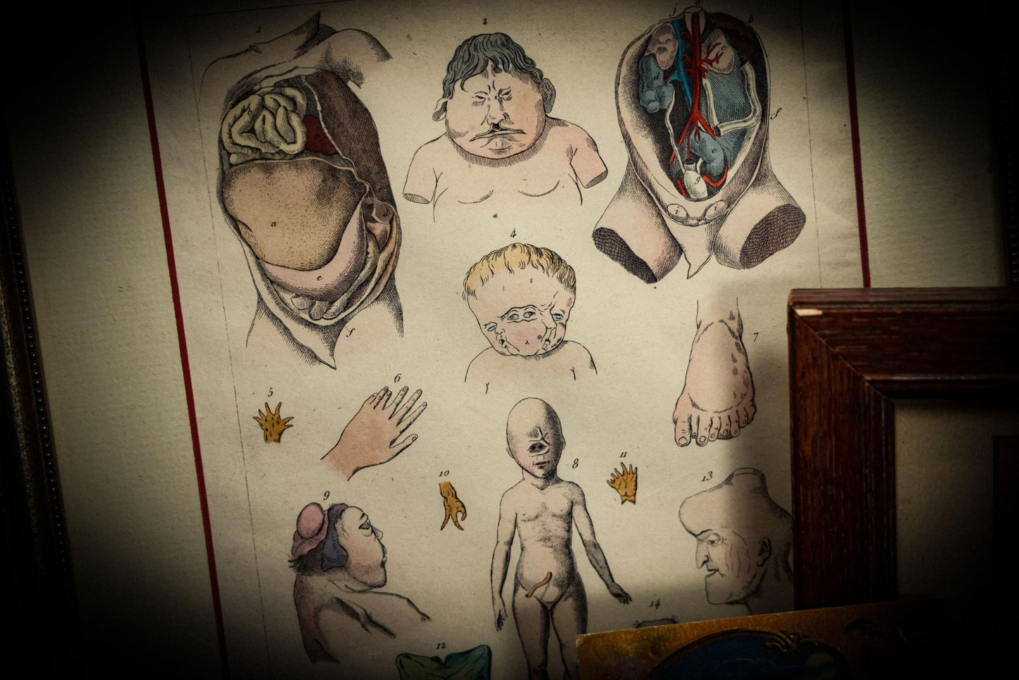 5/1/2025 AUCTION PHOTO GALLERY