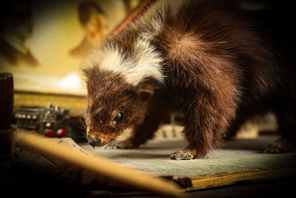 5/1/2025 AUCTION PHOTO GALLERY