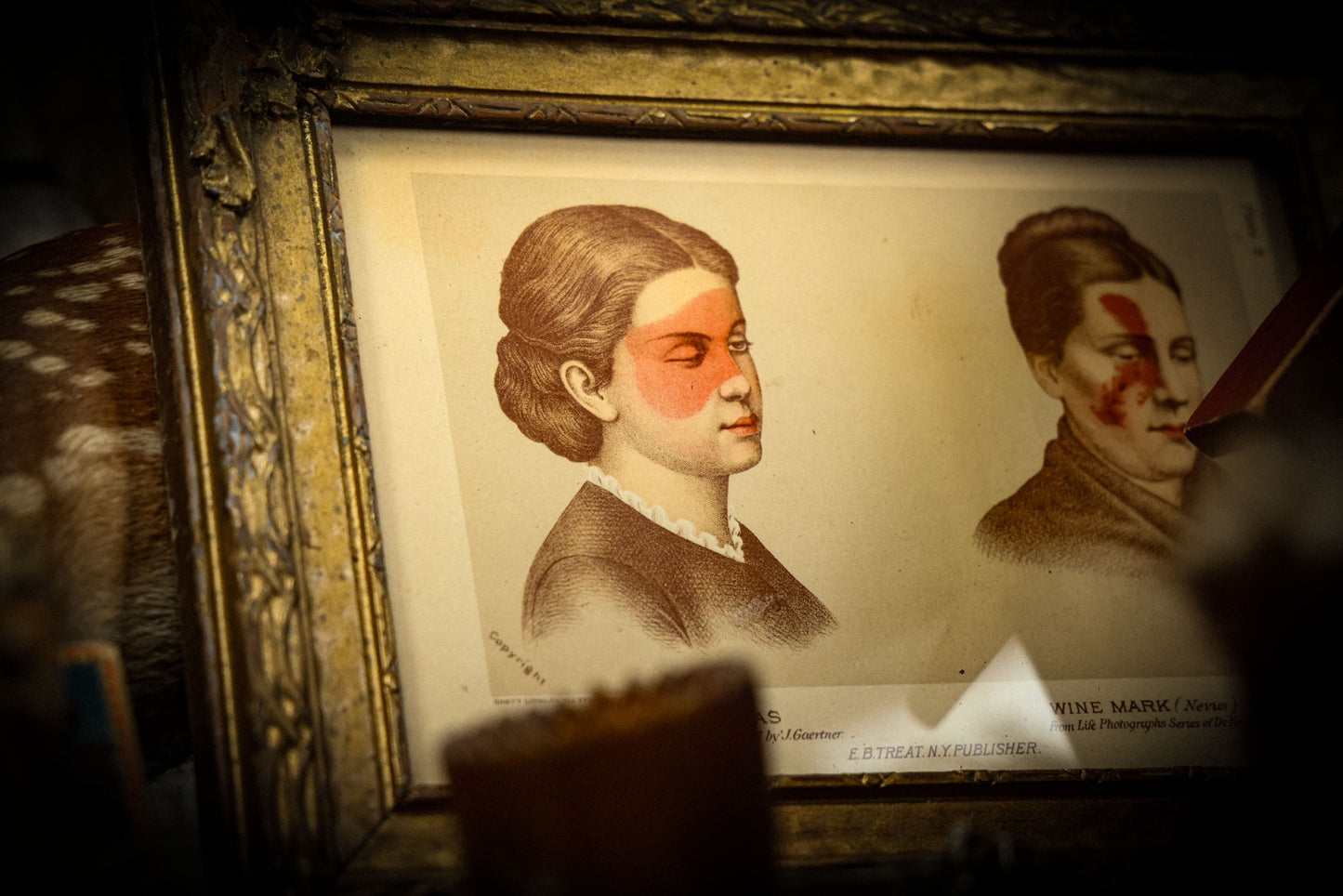 5/1/2025 AUCTION PHOTO GALLERY