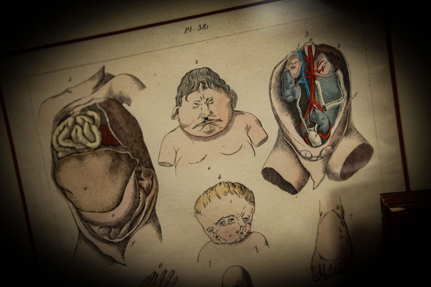 5/1/2025 AUCTION PHOTO GALLERY