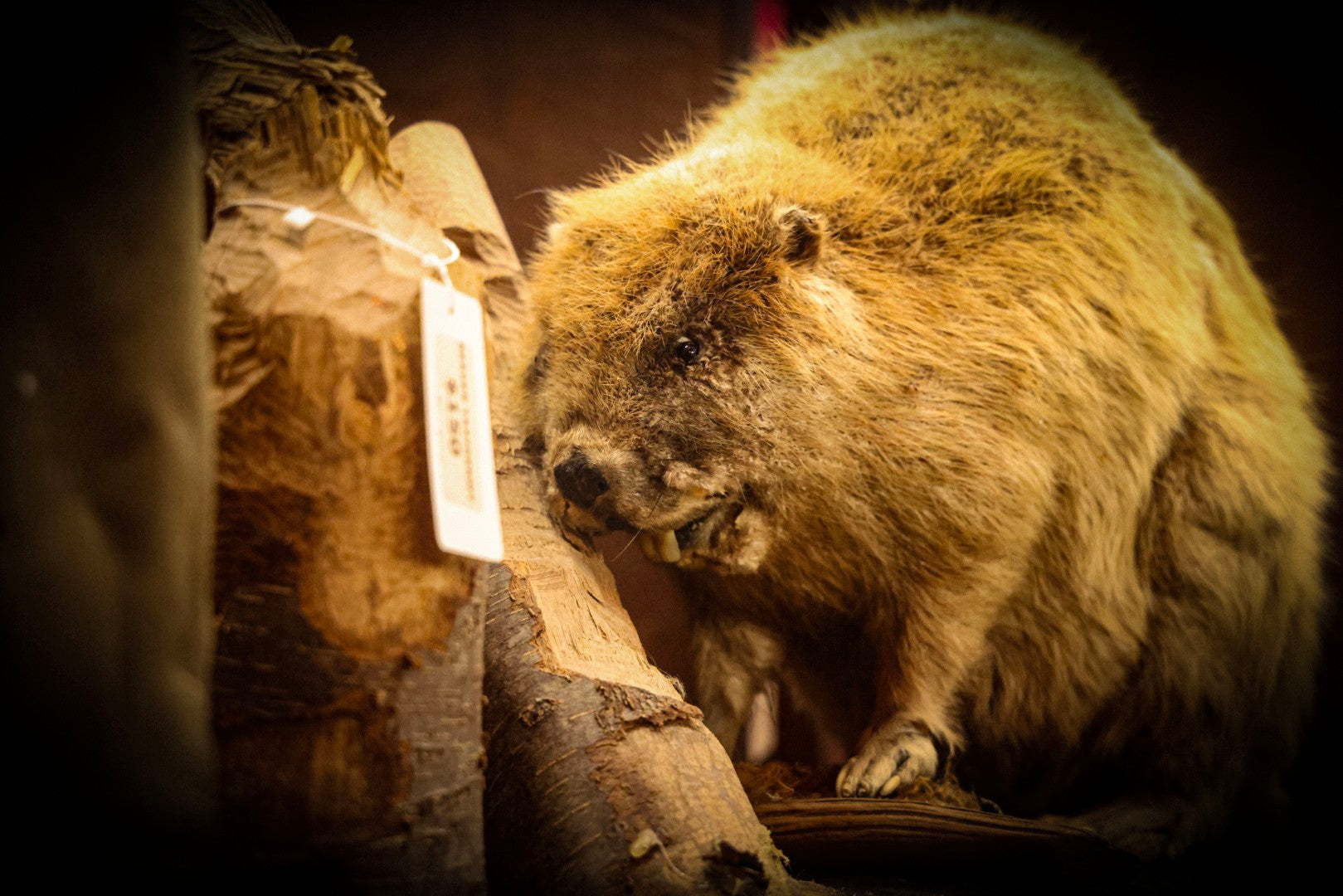 The Antiques Barn in Jaffrey, NH