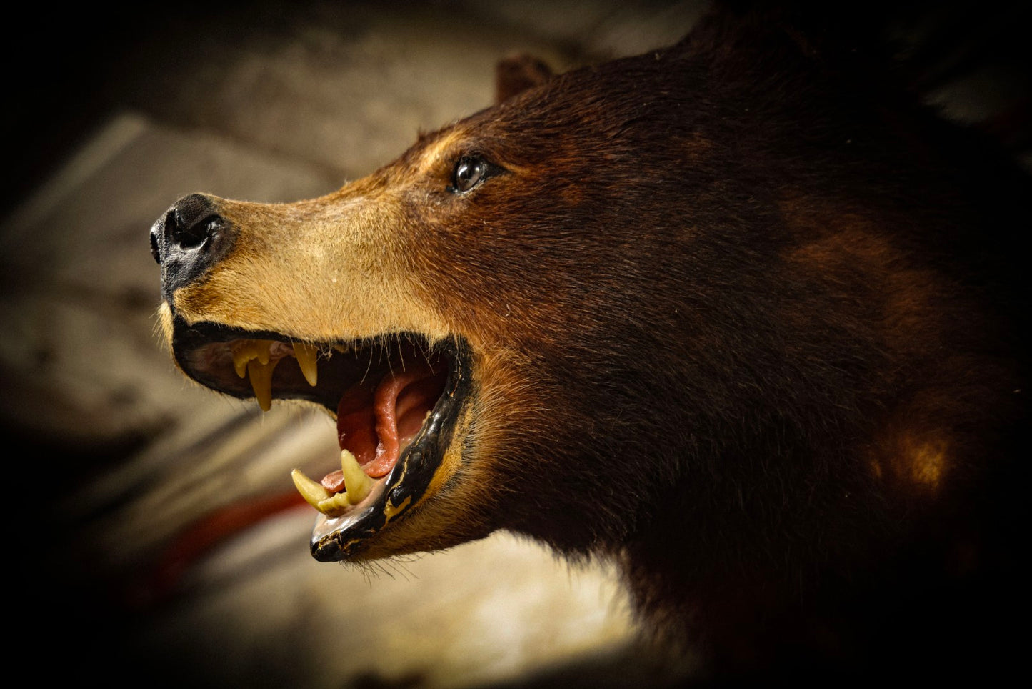 The Antiques Barn in Jaffrey, NH