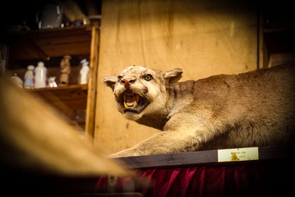 The Antiques Barn in Jaffrey, NH