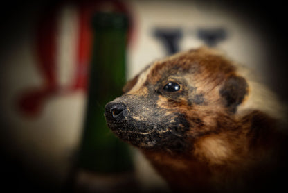 8/14/2025 AUCTION PHOTO GALLERY