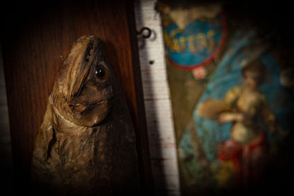 8/14/2025 AUCTION PHOTO GALLERY