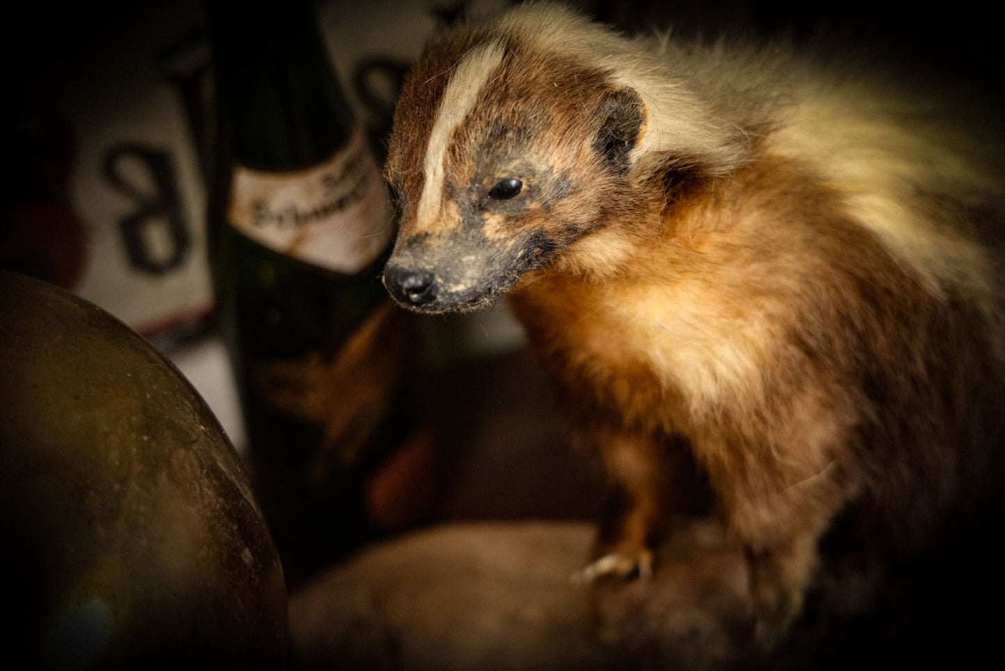 8/14/2025 AUCTION PHOTO GALLERY