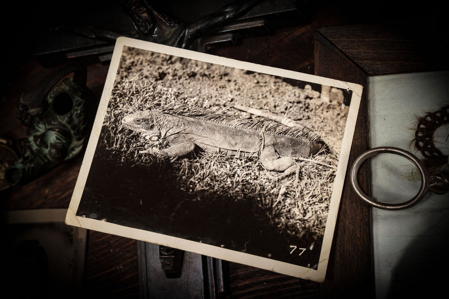 6/26/2025 AUCTION PHOTO GALLERY