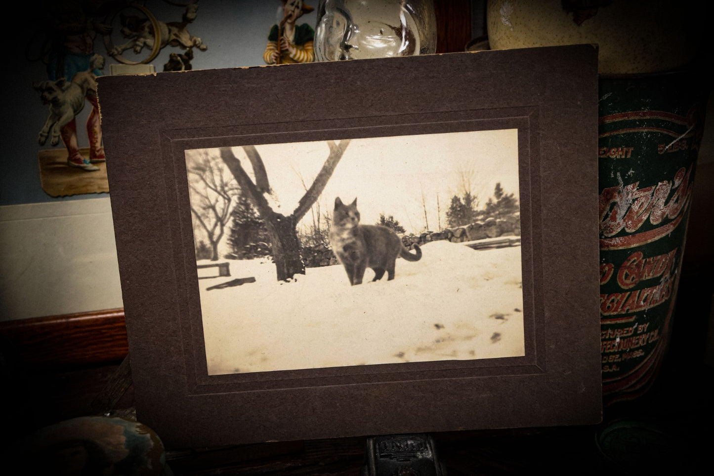 6/26/2025 AUCTION PHOTO GALLERY