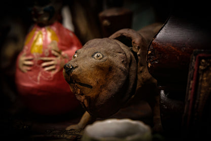 5/15/2025 AUCTION PHOTO GALLERY