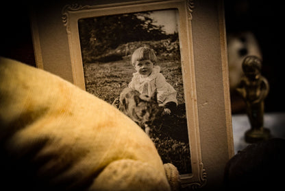 5/15/2025 AUCTION PHOTO GALLERY