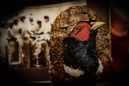 7/3/2025 AUCTION PHOTO GALLERY