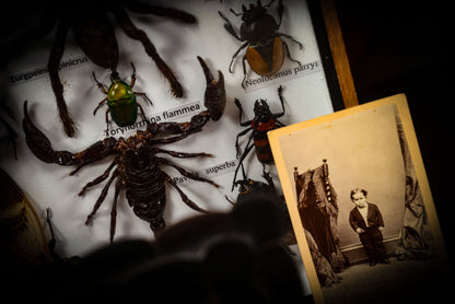 7/3/2025 AUCTION PHOTO GALLERY