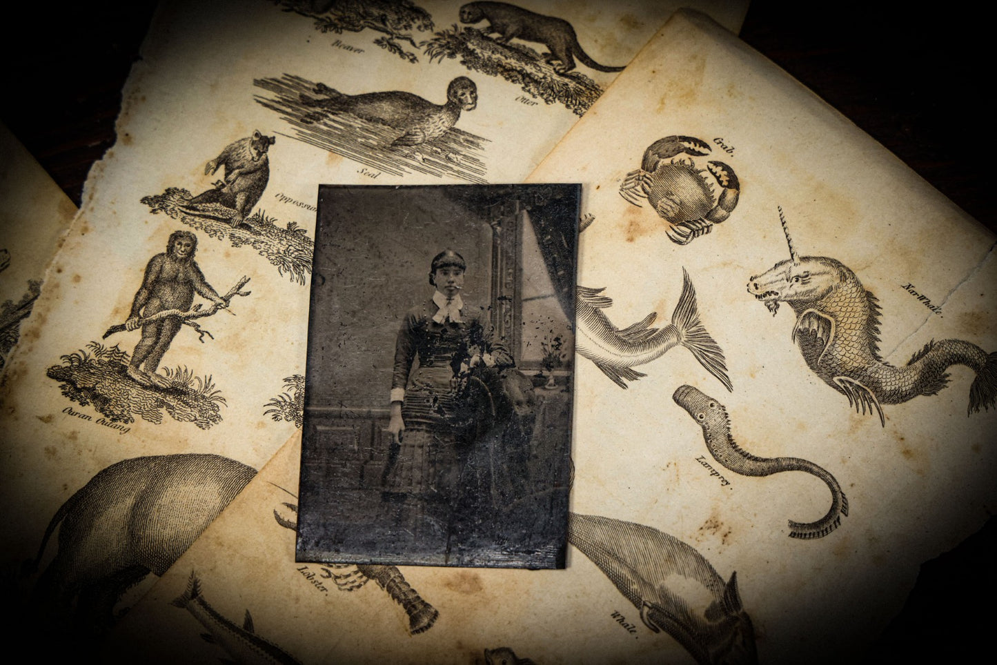 7/3/2025 AUCTION PHOTO GALLERY