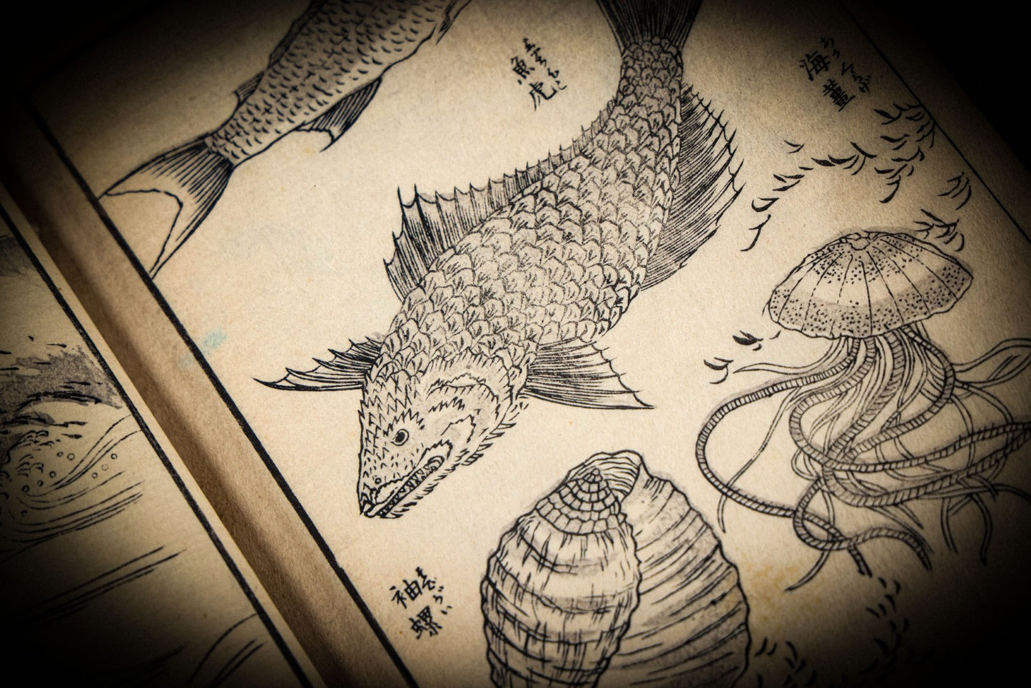 7/3/2025 AUCTION PHOTO GALLERY