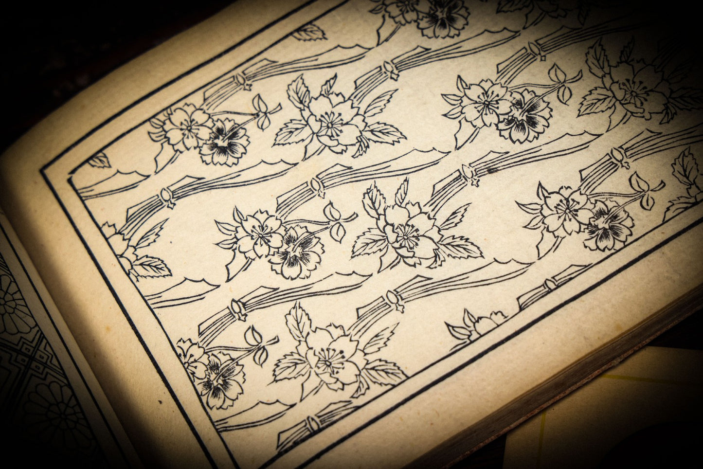 7/3/2025 AUCTION PHOTO GALLERY