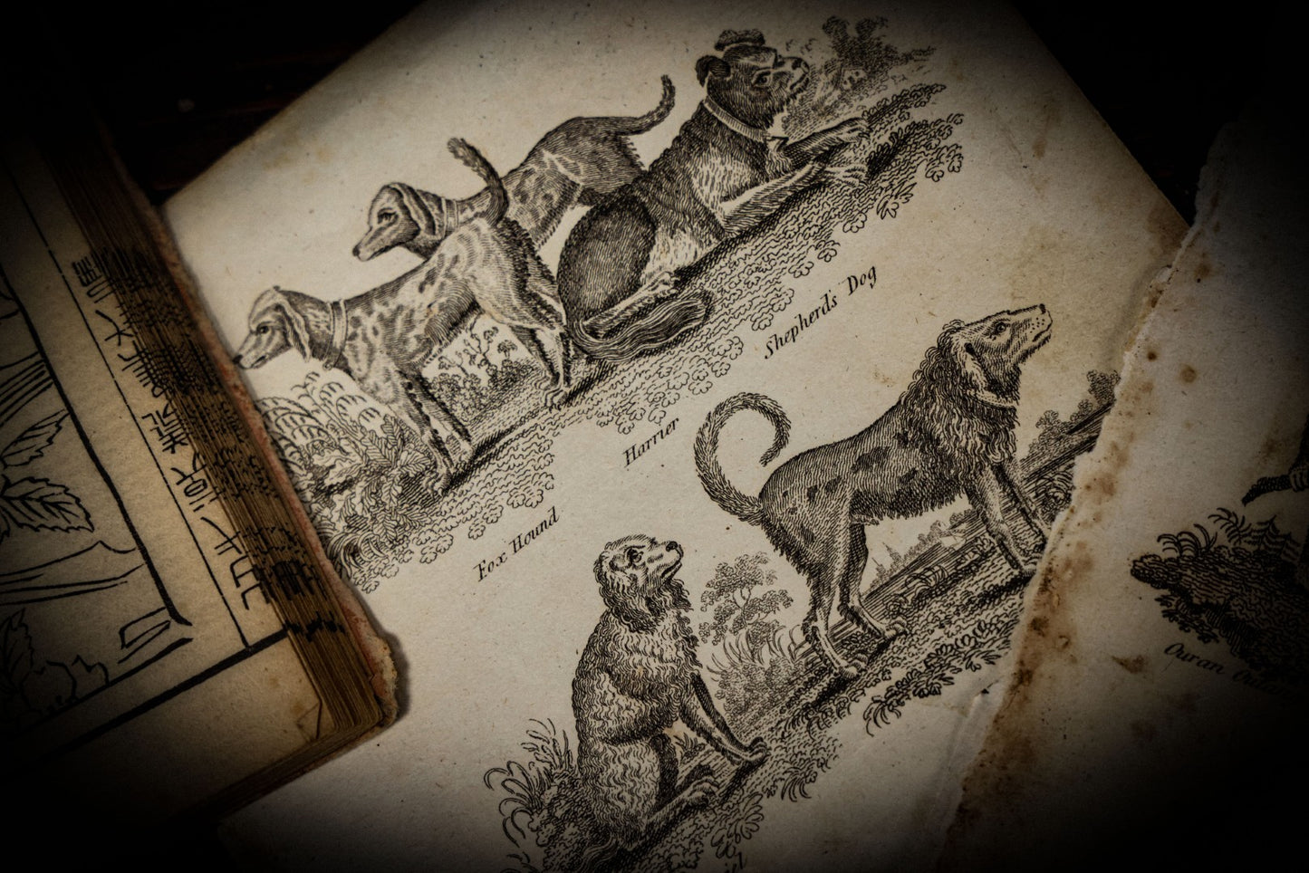 7/3/2025 AUCTION PHOTO GALLERY