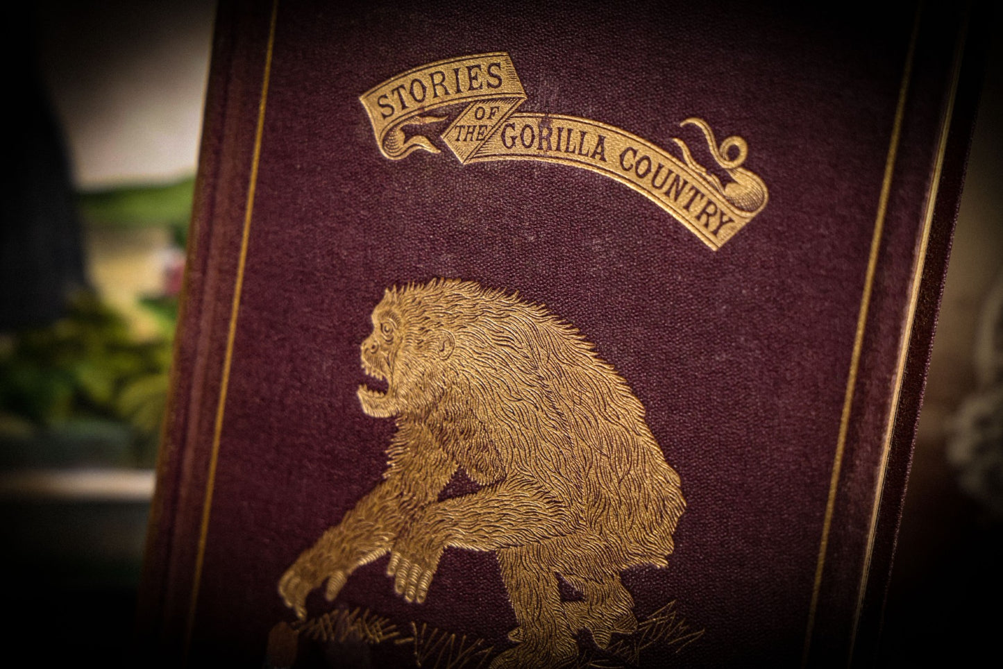 7/10/2025 AUCTION PHOTO GALLERY