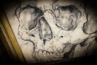 7/10/2025 AUCTION PHOTO GALLERY