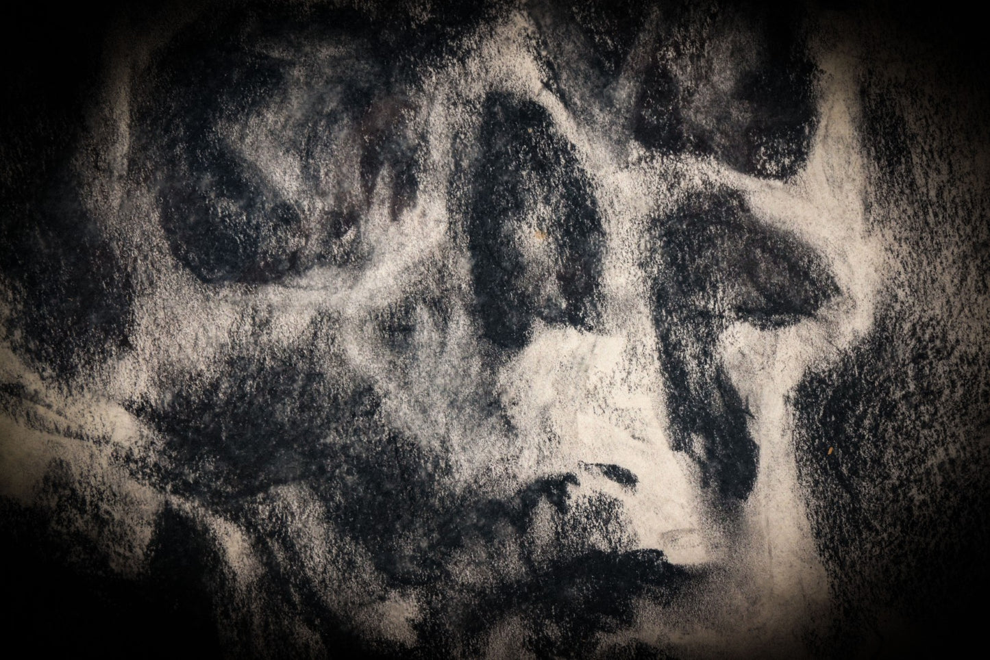 7/10/2025 AUCTION PHOTO GALLERY