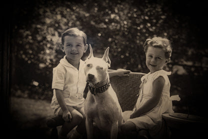 7/10/2025 AUCTION PHOTO GALLERY