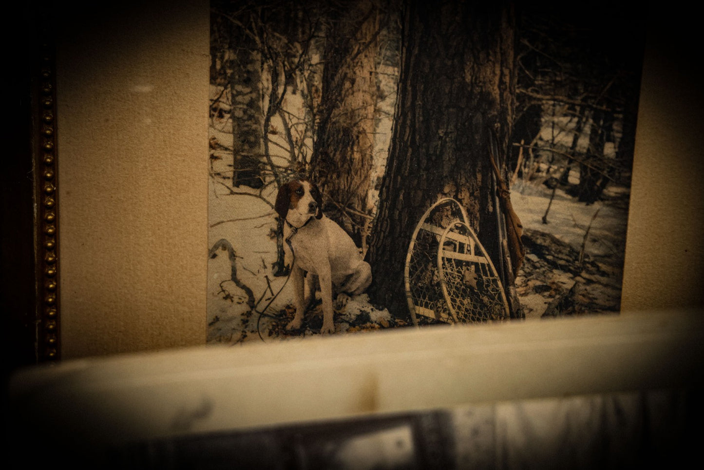 5/22/2025 AUCTION PHOTO GALLERY