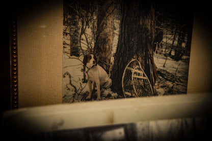 5/22/2025 AUCTION PHOTO GALLERY