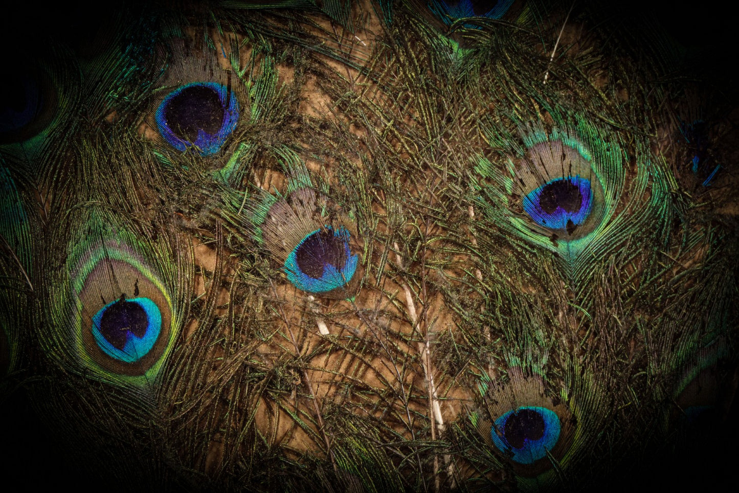 5/22/2025 AUCTION PHOTO GALLERY