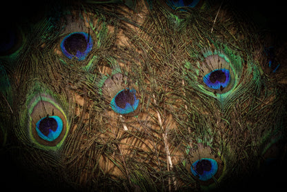 5/22/2025 AUCTION PHOTO GALLERY