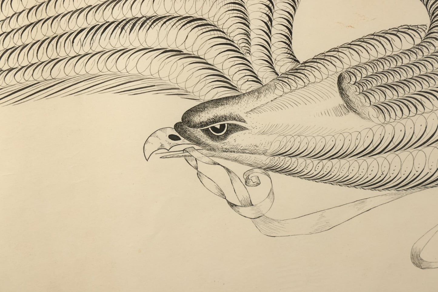 Antique Spencerian Calligraphic Pen and Ink Drawing of an Eagle with Outstretched Wings, Framed in Modern Frame