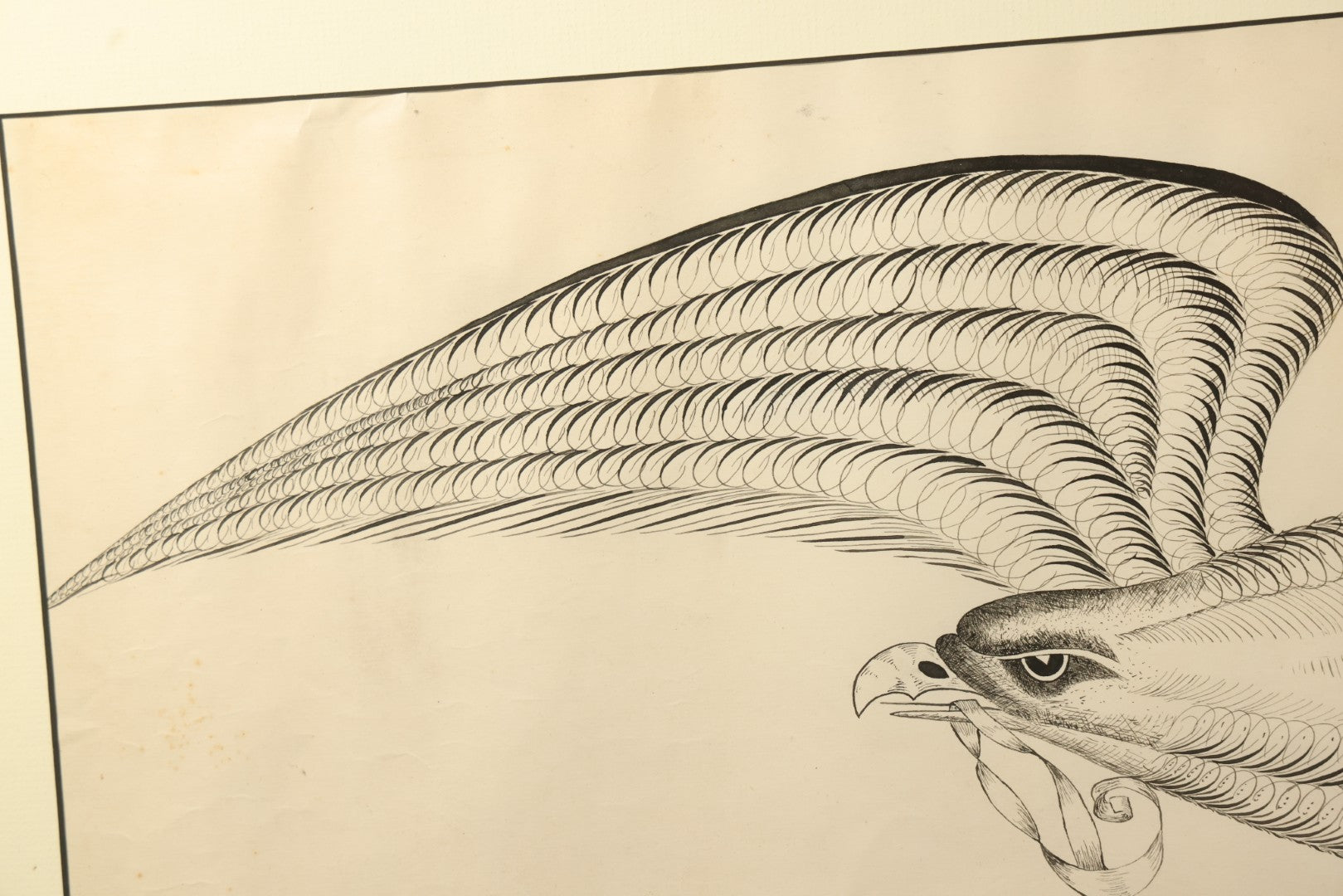 Antique Spencerian Calligraphic Pen and Ink Drawing of an Eagle with Outstretched Wings, Framed in Modern Frame