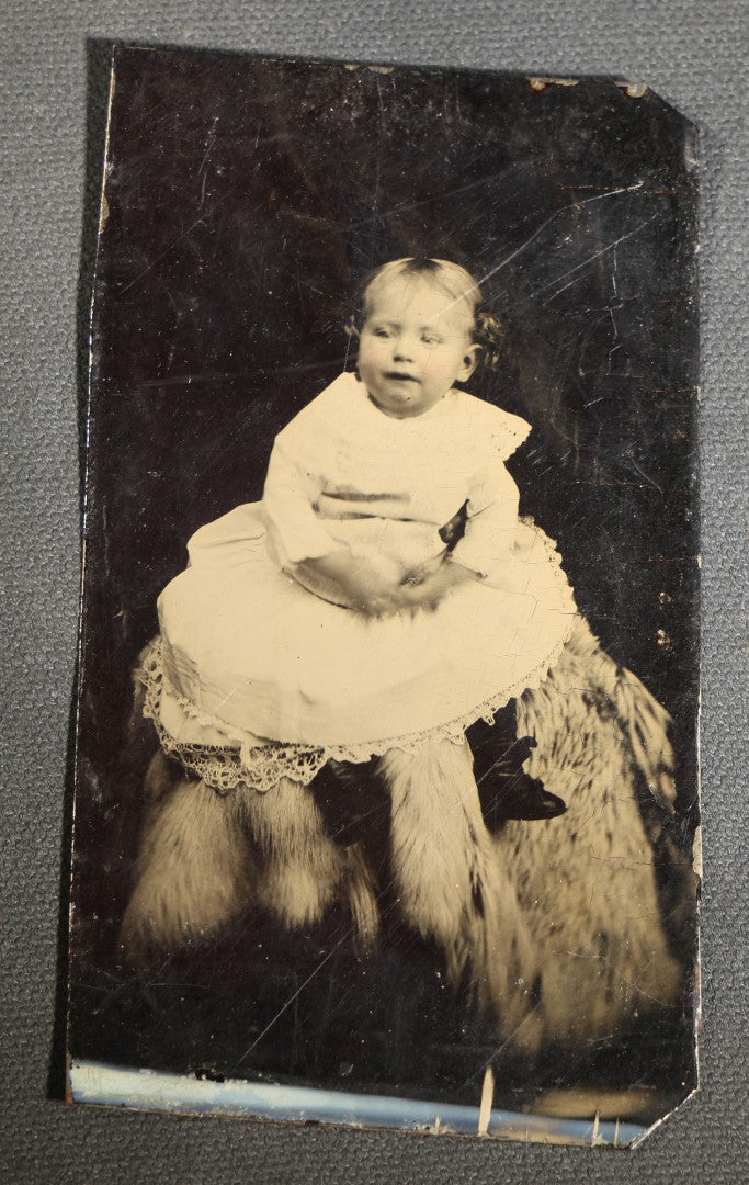 Grouping of Four Antique Hidden Mother Tintype Photographs of Young Children and Infants