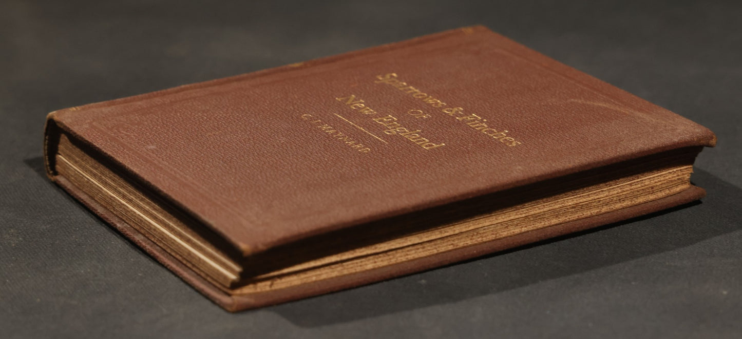 "Handbook of the Sparrows, Finches, Etc. of New England" Antique Illustrated Ornithology Book by C.J. Maynard, Published by C.J. Maynard, Newtonville, Massachusetts, 1896
