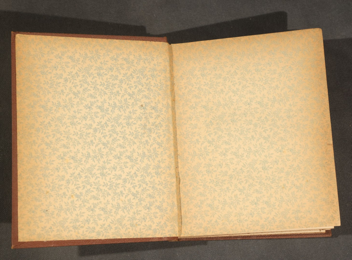 "Handbook of the Sparrows, Finches, Etc. of New England" Antique Illustrated Ornithology Book by C.J. Maynard, Published by C.J. Maynard, Newtonville, Massachusetts, 1896