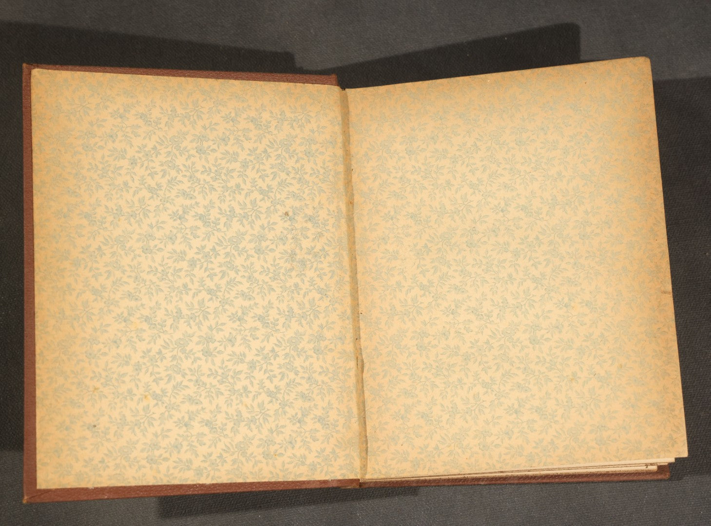 "Handbook of the Sparrows, Finches, Etc. of New England" Antique Illustrated Ornithology Book by C.J. Maynard, Published by C.J. Maynard, Newtonville, Massachusetts, 1896